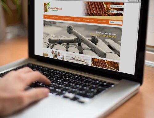 Fundación Palmachonta